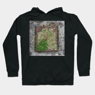 Natural Frame Hoodie